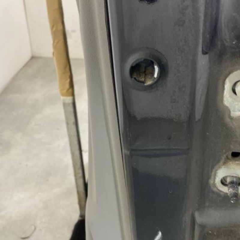 Porte avant gauche RENAULT SCENIC 2 Photo n°4