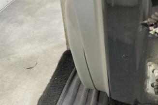 Porte avant gauche RENAULT SCENIC 2