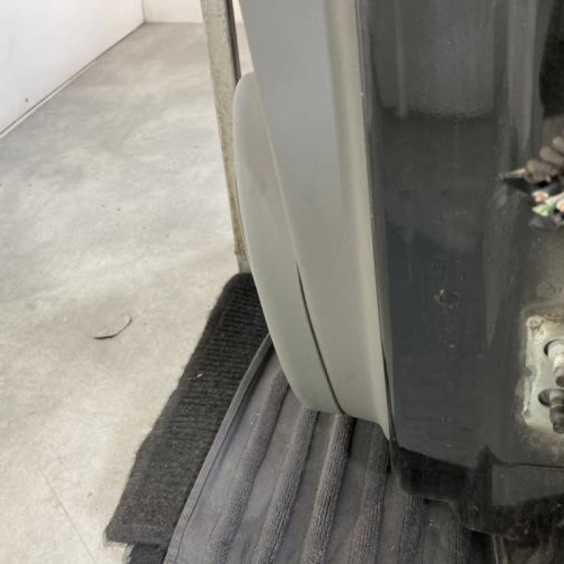 Porte avant gauche RENAULT SCENIC 2 Photo n°5