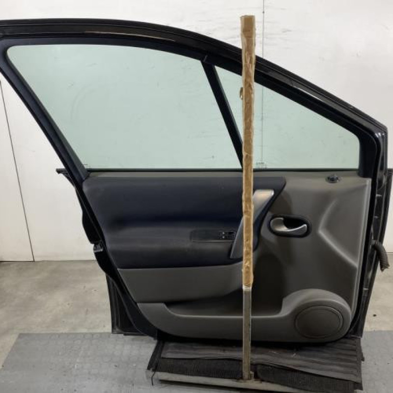 Porte avant gauche RENAULT SCENIC 2 Photo n°6