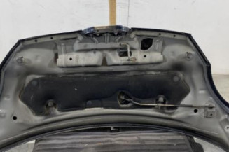 Capot PEUGEOT 107