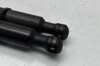 Verin de coffre RENAULT MODUS