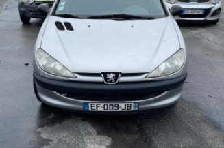 Cremaillere assistee PEUGEOT 206