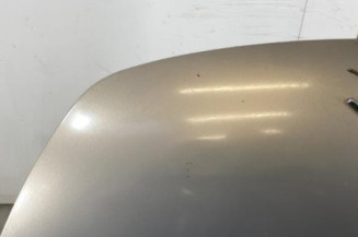 Capot CITROEN C3 PLURIEL