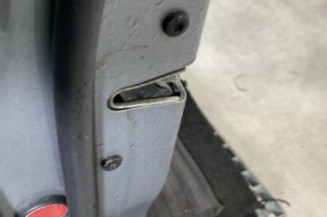 Porte avant gauche BMW SERIE 5 E61