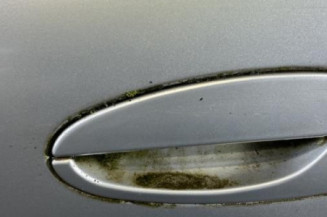 Porte avant gauche FORD PUMA