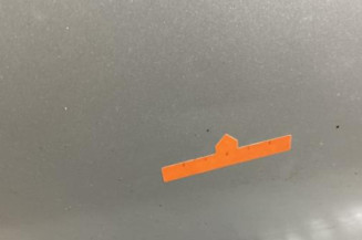 Porte avant gauche FORD PUMA