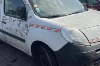 Vase d'expansion RENAULT KANGOO 2