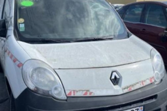 Vase d'expansion RENAULT KANGOO 2