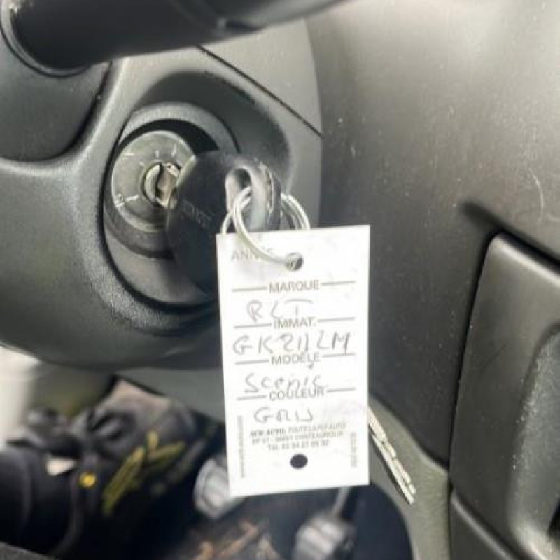 Vitre avant droit RENAULT SCENIC 1 Photo n°16
