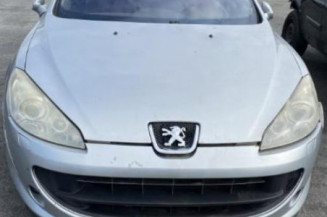 Ecran GPS PEUGEOT 407