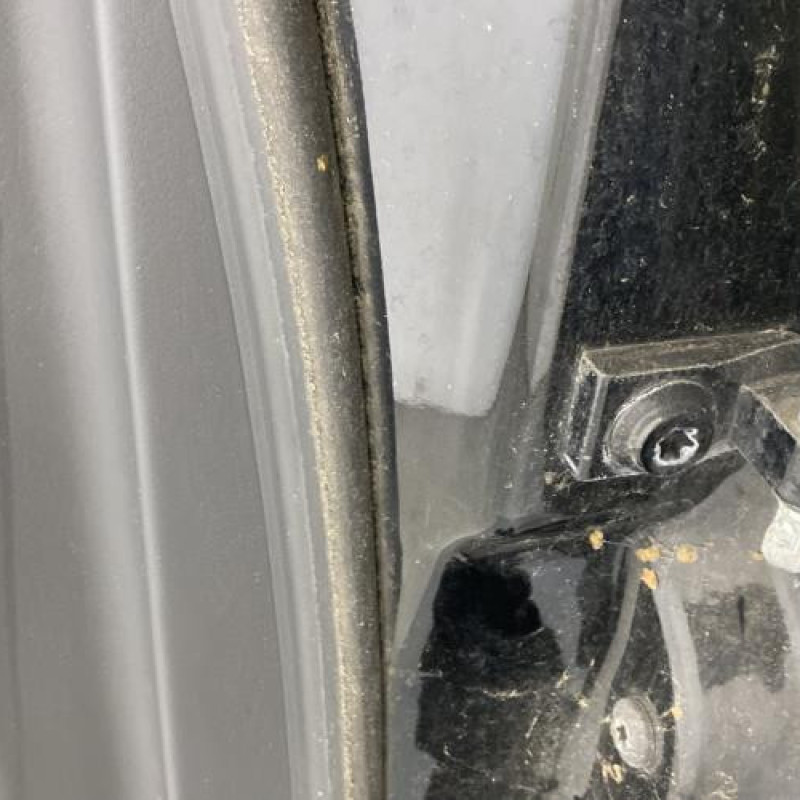 Porte arriere gauche AUDI A6 3 Photo n°4