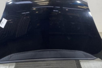 Capot CITROEN C4 PICASSO 1