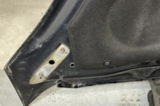 Capot CITROEN C4 PICASSO 1
