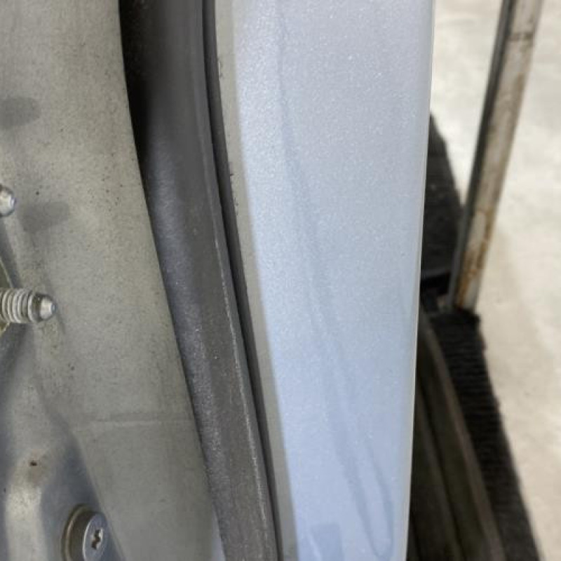 Porte arriere droit BMW SERIE 3 E90 Photo n°4