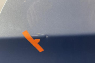 Porte avant gauche BMW SERIE 3 E90