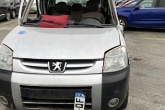 Calandre PEUGEOT PARTNER 1