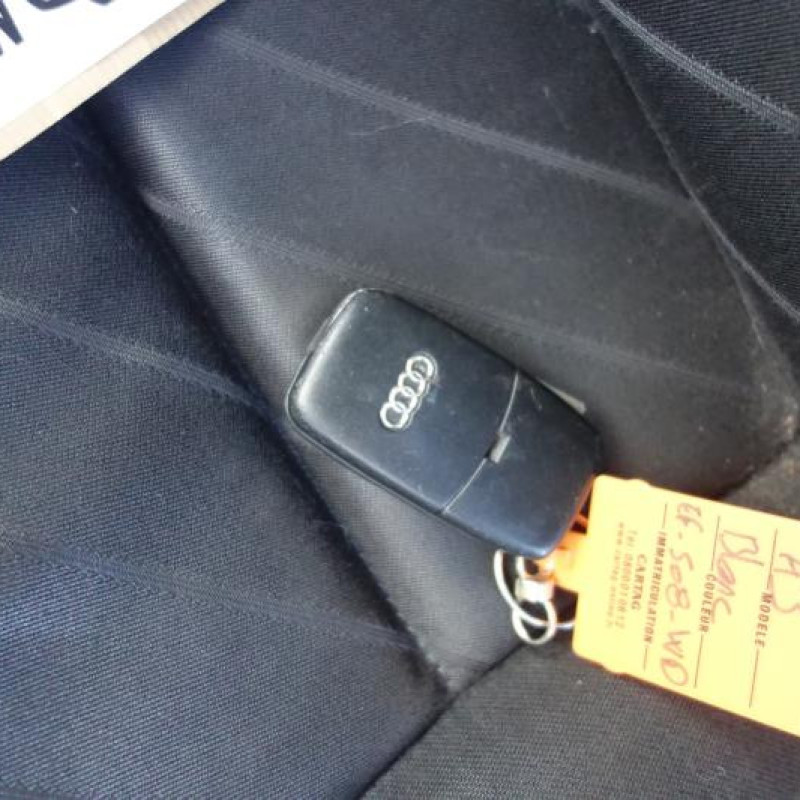 Porte arriere gauche AUDI A3 1 Photo n°9