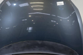 Capot SEAT LEON 2 Photo n°1