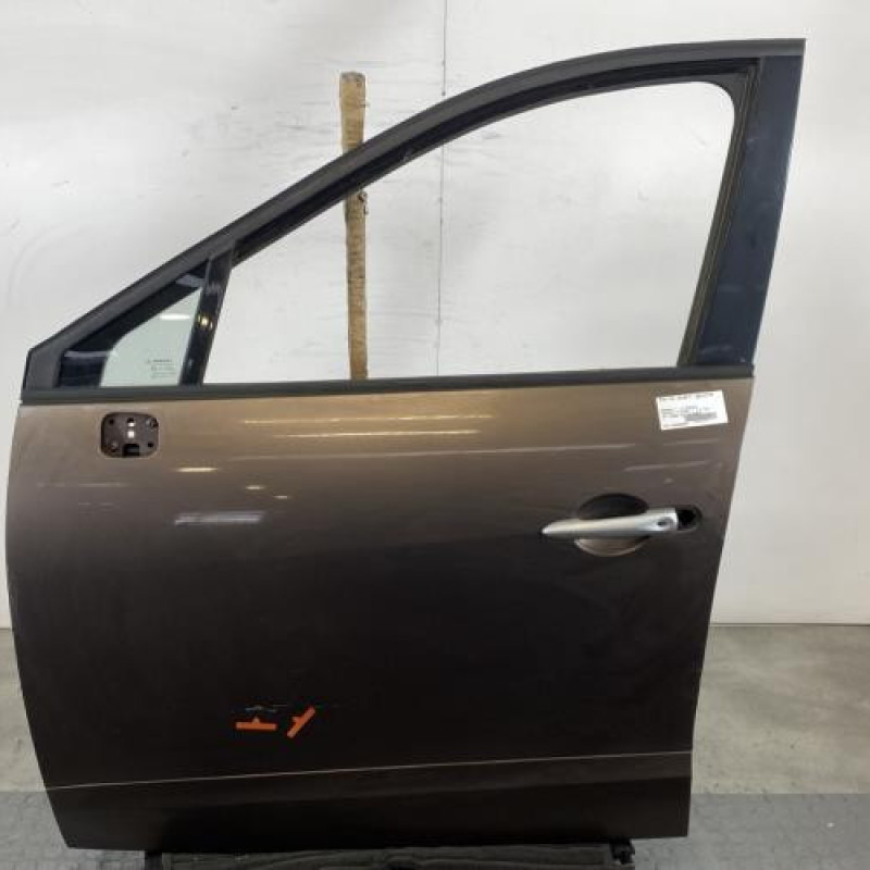 Porte avant gauche RENAULT SCENIC 3 Photo n°1