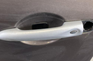 Porte avant gauche RENAULT GRAND SCENIC 3