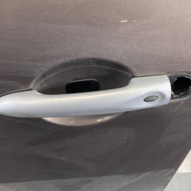 Porte avant gauche RENAULT SCENIC 3 Photo n°2