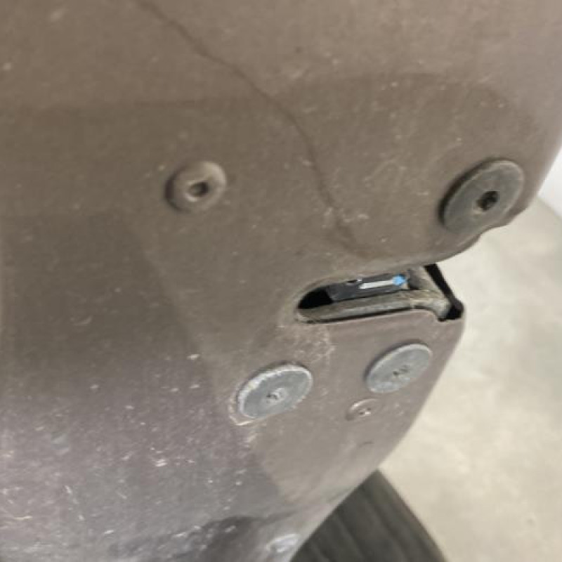 Porte avant gauche RENAULT SCENIC 3 Photo n°4