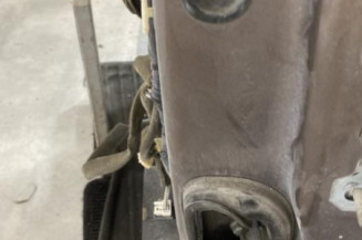 Porte avant gauche RENAULT SCENIC 3