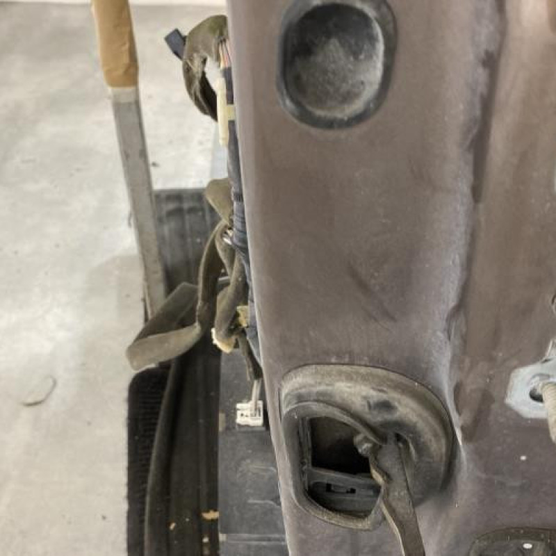 Porte avant gauche RENAULT SCENIC 3 Photo n°5