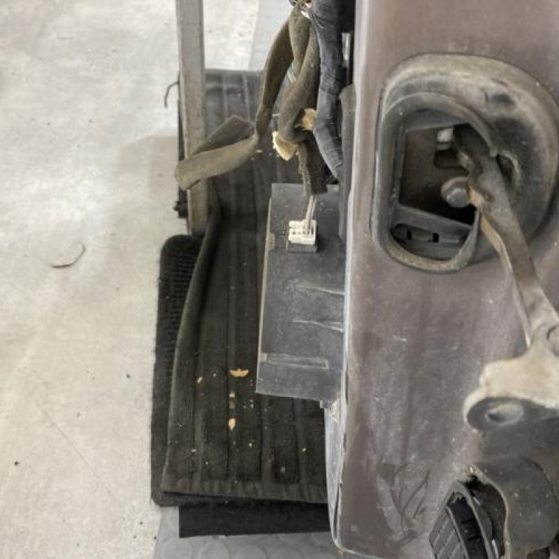 Porte avant gauche RENAULT SCENIC 3 Photo n°6