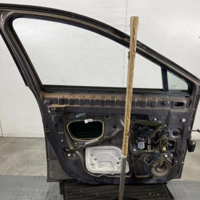 Porte avant gauche RENAULT SCENIC 3 Photo n°8