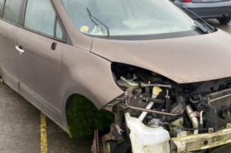Porte avant gauche RENAULT SCENIC 3
