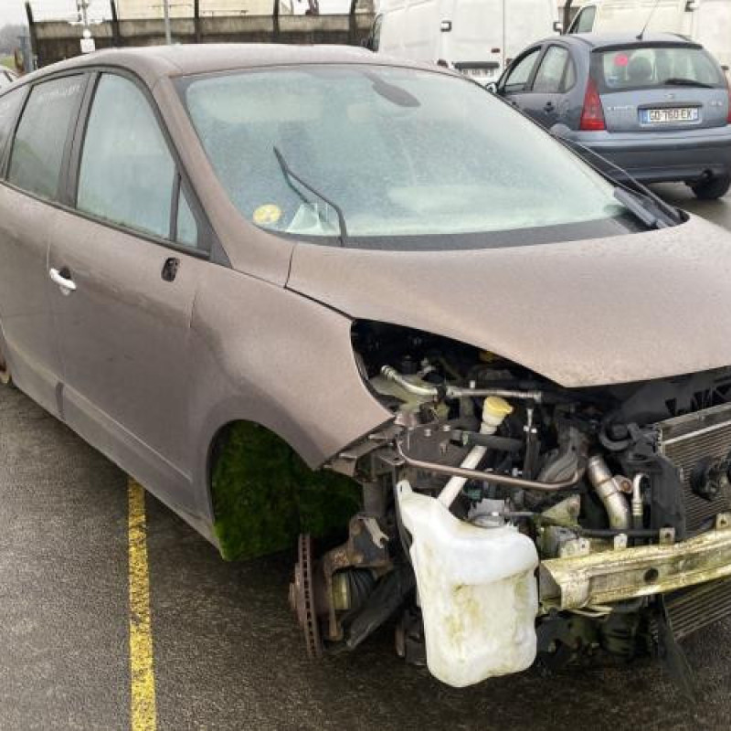 Porte avant gauche RENAULT SCENIC 3 Photo n°10