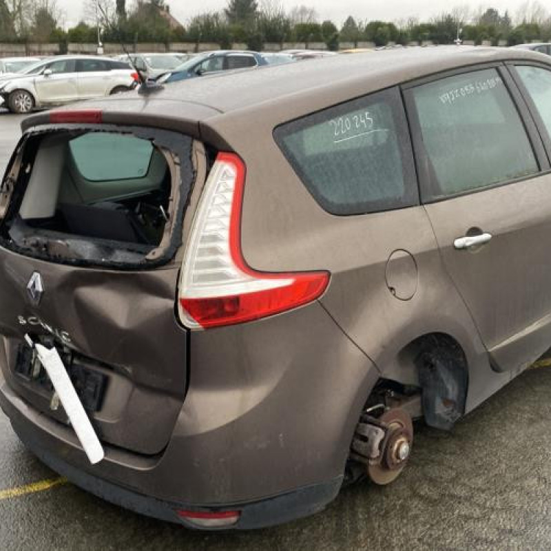 Porte avant gauche RENAULT SCENIC 3 Photo n°11