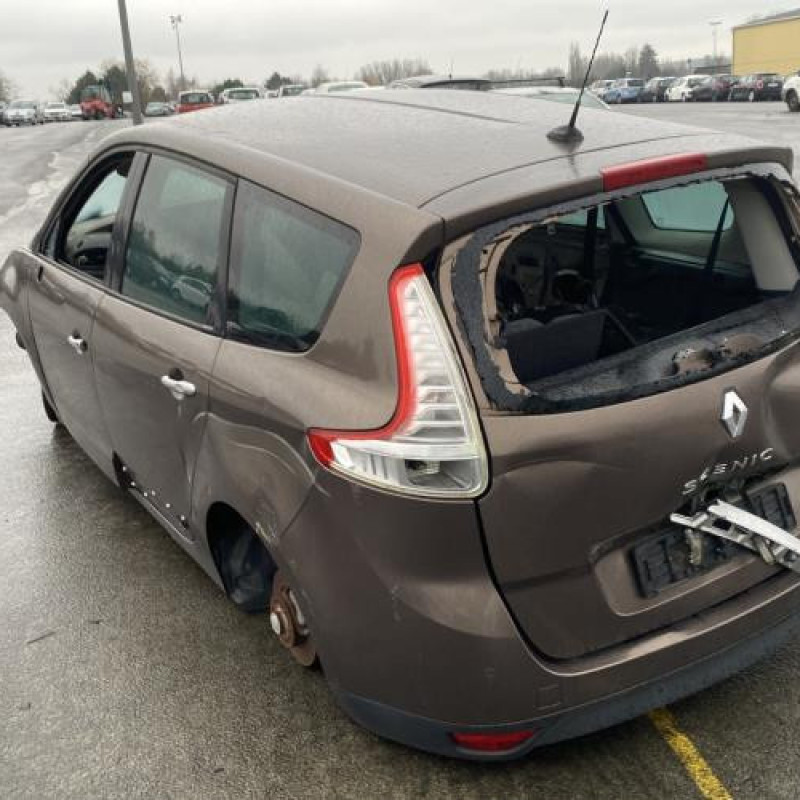Porte avant gauche RENAULT SCENIC 3 Photo n°12