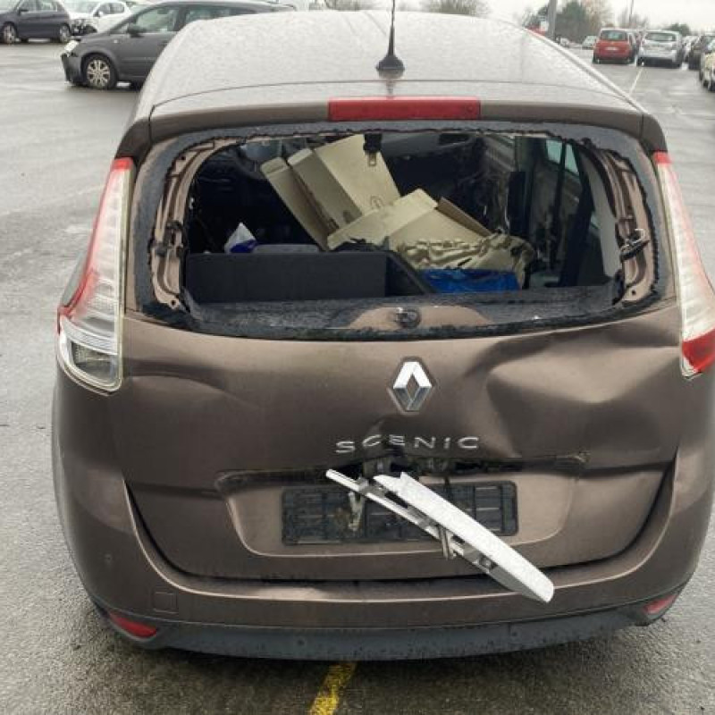 Porte avant gauche RENAULT SCENIC 3 Photo n°13