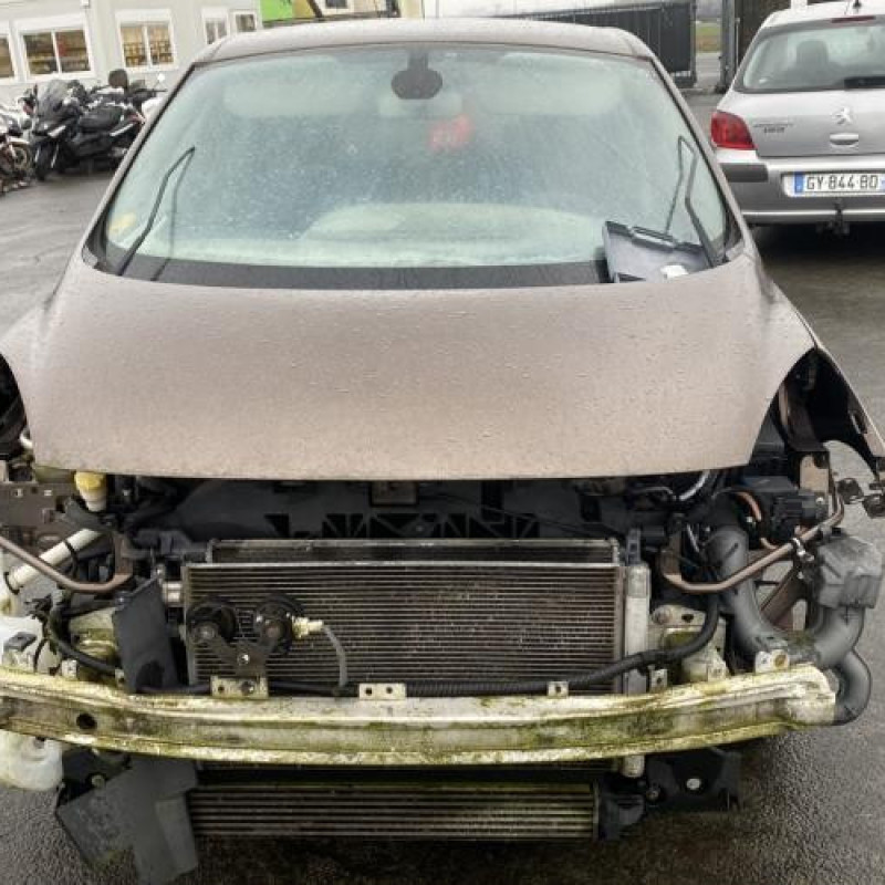 Porte avant gauche RENAULT SCENIC 3 Photo n°16
