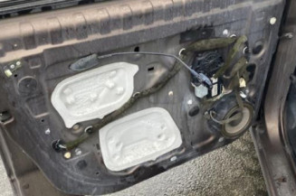 Porte avant gauche RENAULT SCENIC 3