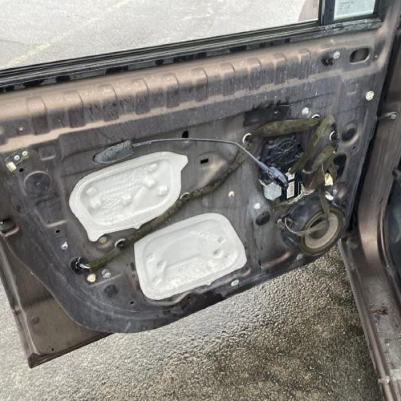 Porte avant gauche RENAULT SCENIC 3 Photo n°17