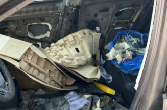 Porte avant gauche RENAULT SCENIC 3