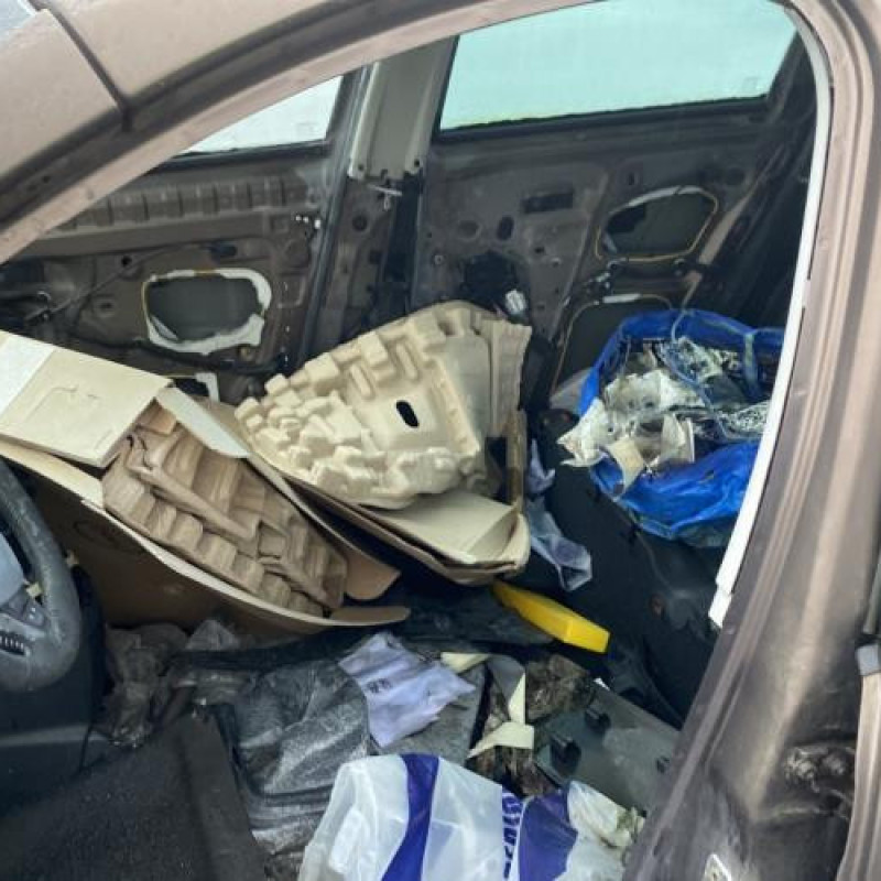 Porte avant gauche RENAULT SCENIC 3 Photo n°18