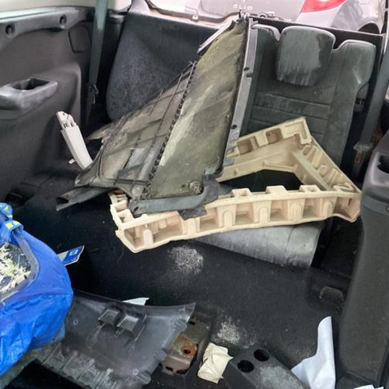 Porte avant gauche RENAULT SCENIC 3 Photo n°19