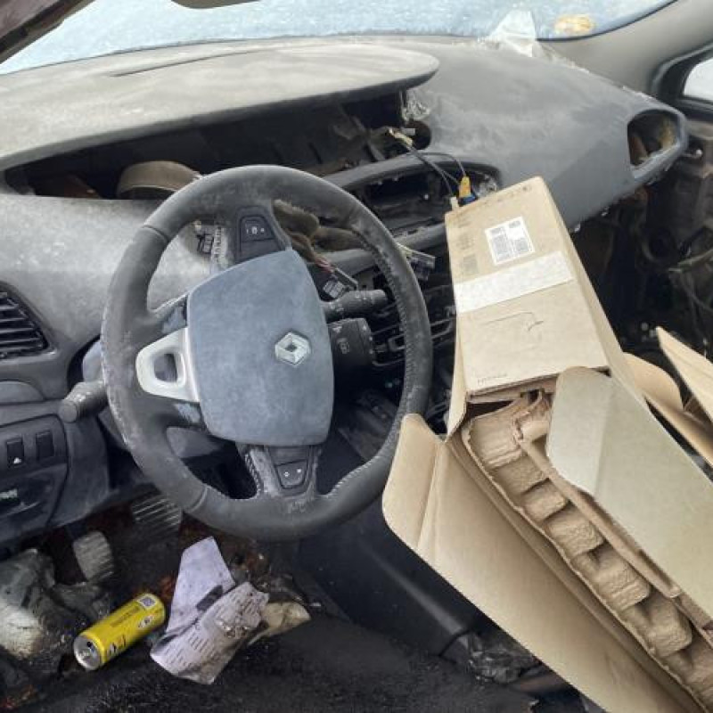 Porte avant gauche RENAULT SCENIC 3 Photo n°20