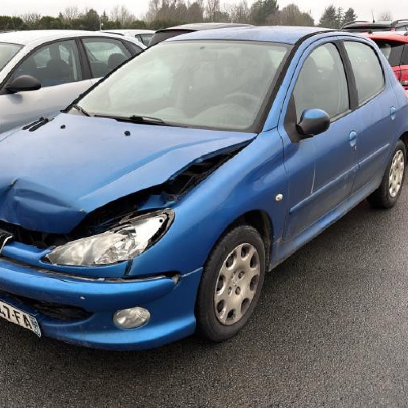 Porte avant droit PEUGEOT 206 Photo n°9