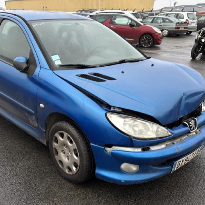 Porte avant droit PEUGEOT 206 Photo n°10