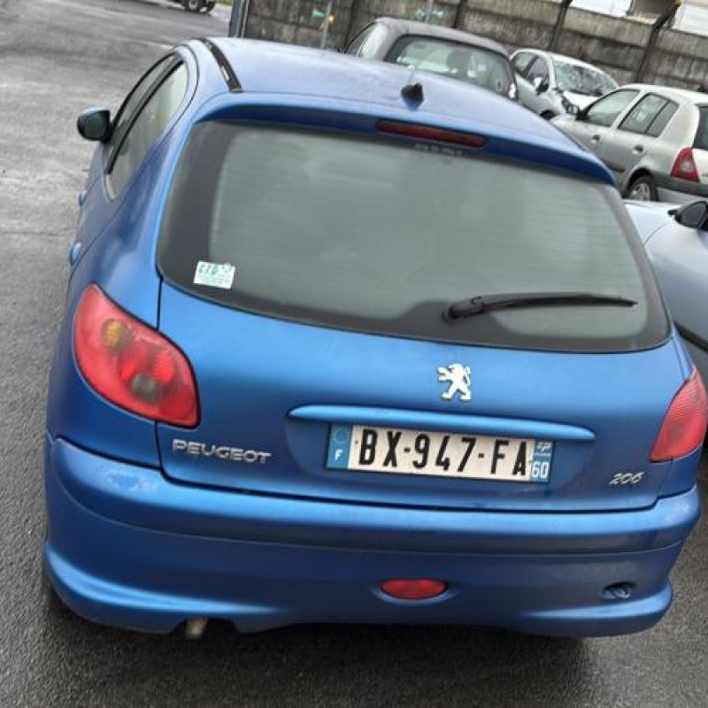 Porte avant droit PEUGEOT 206 Photo n°13
