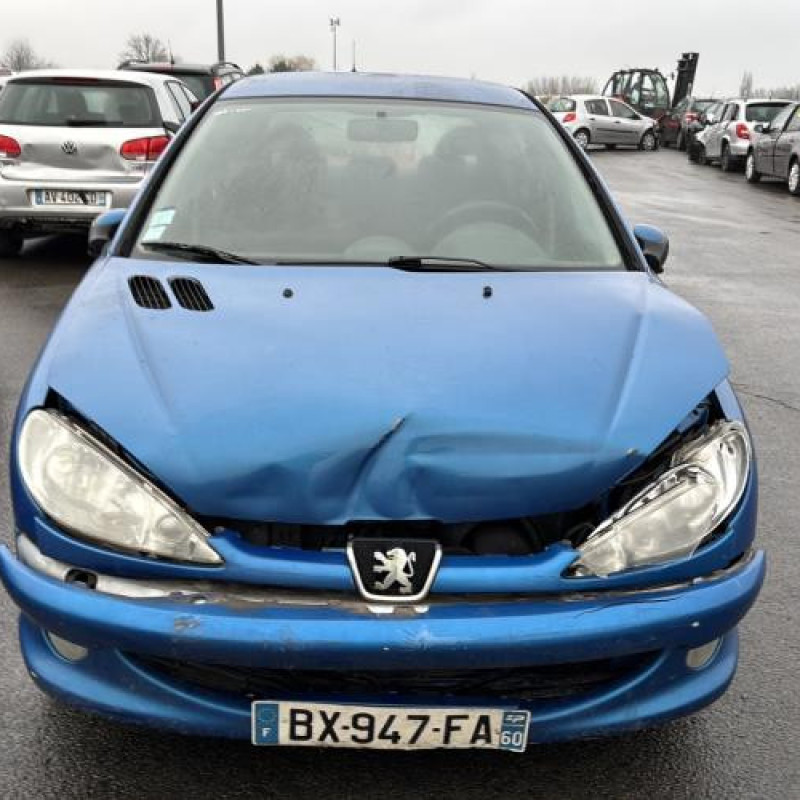 Porte avant droit PEUGEOT 206 Photo n°16