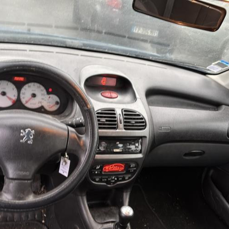 Porte avant droit PEUGEOT 206 Photo n°20