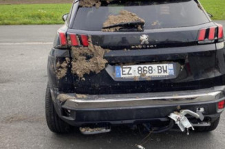 Feu arriere secondaire gauche (feux) PEUGEOT 3008 2