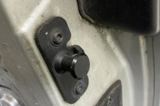 Porte avant gauche PEUGEOT 1007